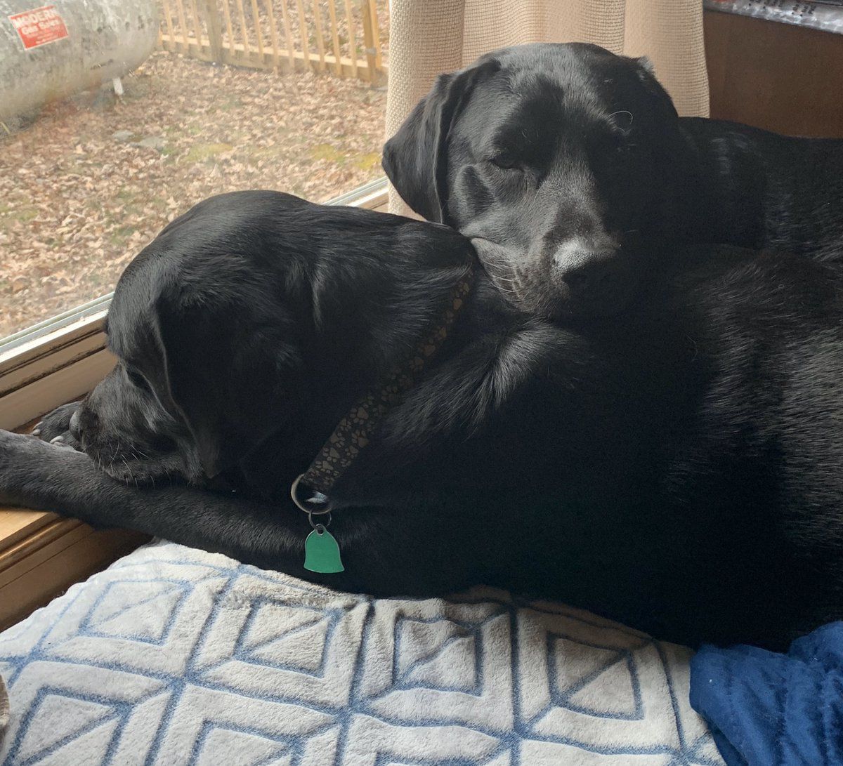 Apollo and Gunner
